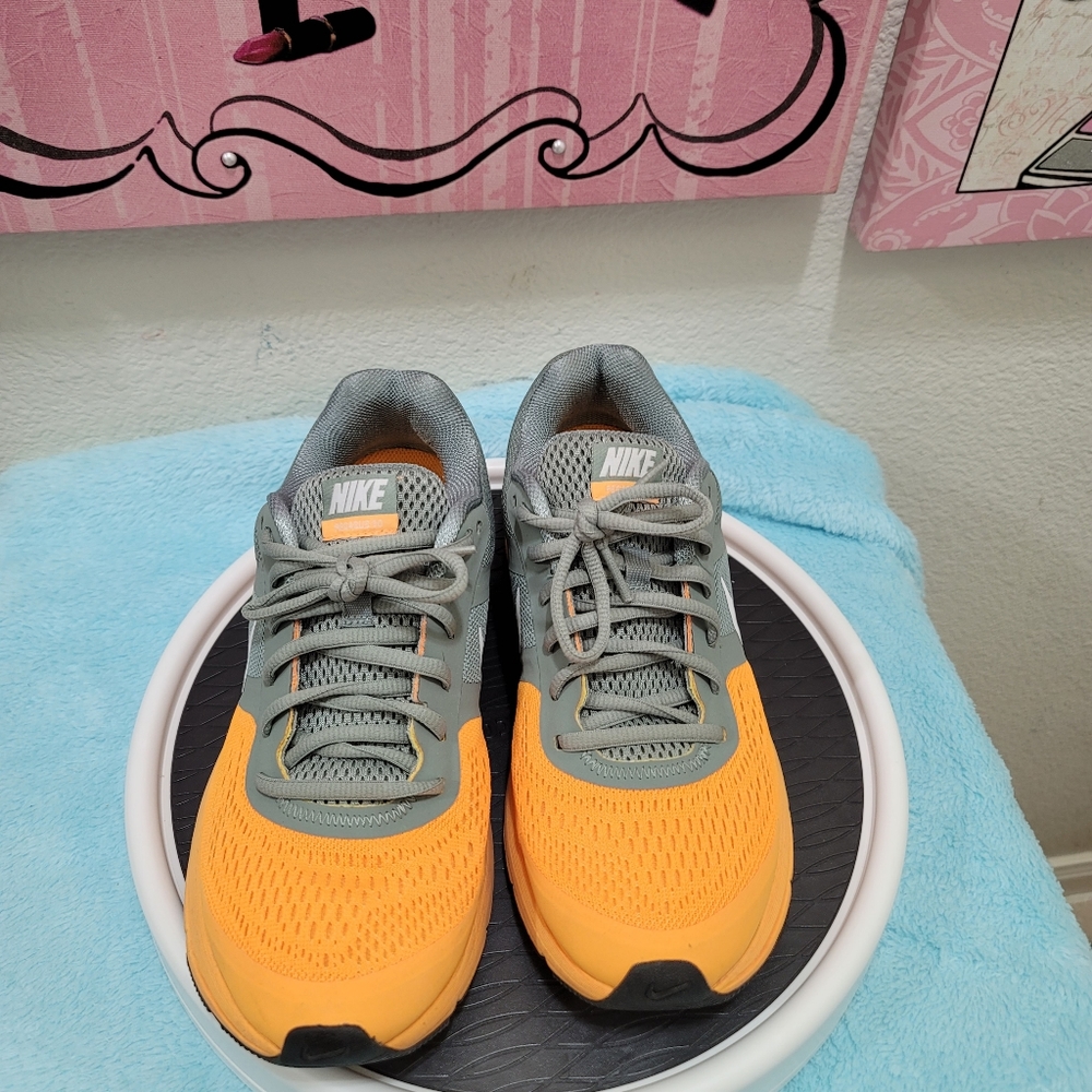 Nike Pegasus 30